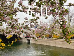 -海棠花溪(元大都城垣遗址公园)