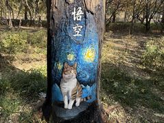 -迎泽公园