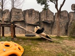 -上海野生动物园