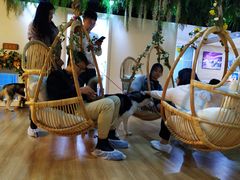 -Husky Go! 哈士奇体验馆·宠物咖啡厅狗咖