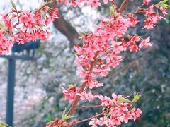 -龟山风景区-龟山电视塔
