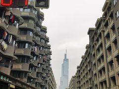 -紫峰大厦