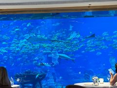 -OSSIANO奥西亚诺海底餐厅