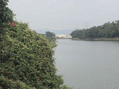 -全汁全味驴庄(凤岗店)