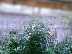 -隅cafe(傅厚岗店)