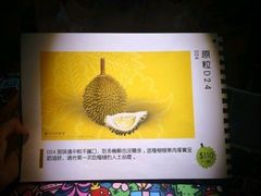 -榴梿乐园