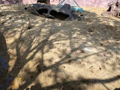 -宁波野生动物园