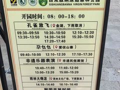 -西双版纳原始森林公园