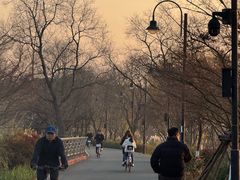 -东湖落雁景区