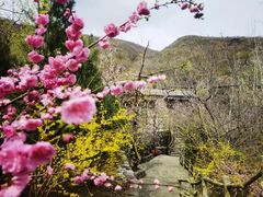 -周口店坡峰岭风景区