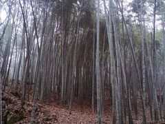 -杭州黄龙洞