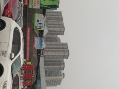 -秦美花卉(天朗·莱茵小城2期店)