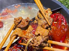 -阳阳老火锅(小南门店)