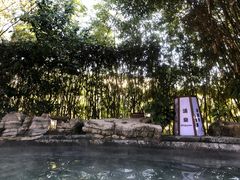 -杭州第一世界大酒店·云曼温泉