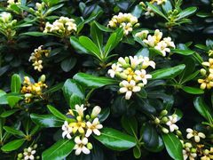 iphone_upload_pic-华南师范大学(广州大学城校区)