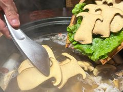 -滇野云南野生菌餐厅(陕西南路店)
