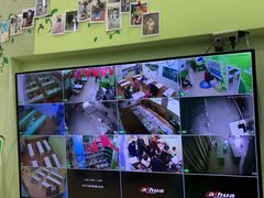 -学知乐教育·幼小衔接·小学科辅导(嘉定镇校区)