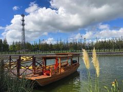 -上海长兴岛郊野公园