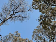 -上海吴淞炮台湾国家湿地公园