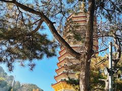 -八大处公园