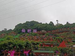 -枇杷园食为鲜火锅(南山店)