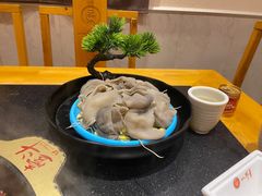 -一斗火锅·招财羊毛肚(北温泉九号店)
