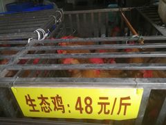 -老幺泉水鸡
