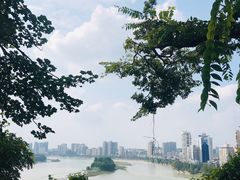 -乐山市博物馆