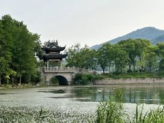 -长广溪湿地公园