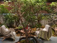 -森SPA·泰式按摩·精油Massage(宝安中心店)