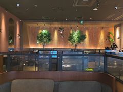 -同仁四季椰子鸡(宝安壹方城店)