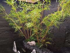 -宫七SPA·高端Massage(浦东大道店)