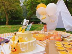 -上海共青森林公园