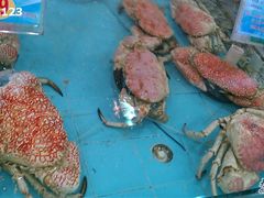 IMAG0286-渔民新村(番禺总店)