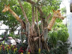-北京植物园-展览温室