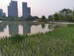 -西海子公园