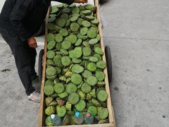 -蒲黄榆(地铁站)