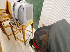 -海马体照相馆(环贸iapm大师爱情店)