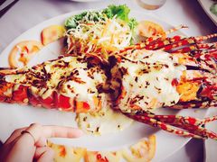 -Red Lobster