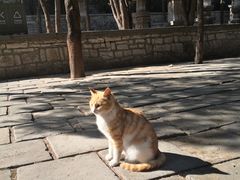 -四门塔风景区