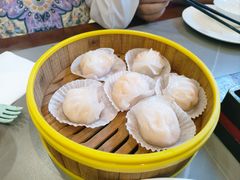 -苏城小院·园林精致苏州菜(斜塘老街店)