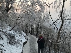 -紫金山山顶公园