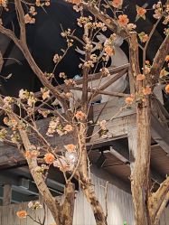 -YUEYAR PHOTO摄影