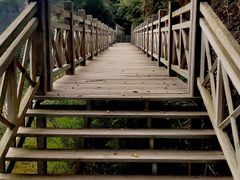 -南宁良凤江国家森林公园