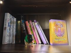 -雪灵魔法世界SHELLY’S TAROT(大良桂畔里店)