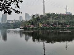 -重庆彩云湖湿地公园