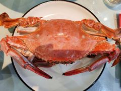 -日月昇渔家菜·海肠捞饭·大连海鲜(星海公园店)