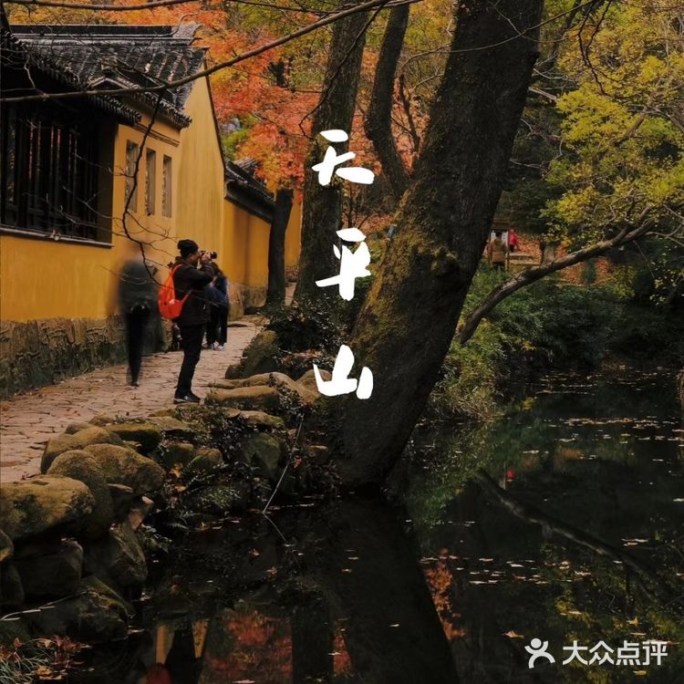 秋意浓 | 苏州天平山赏枫