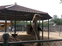 -意大利农场度假村