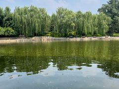 -团结湖公园